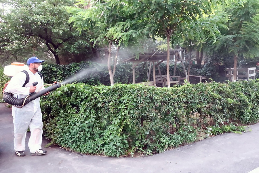 Image Description