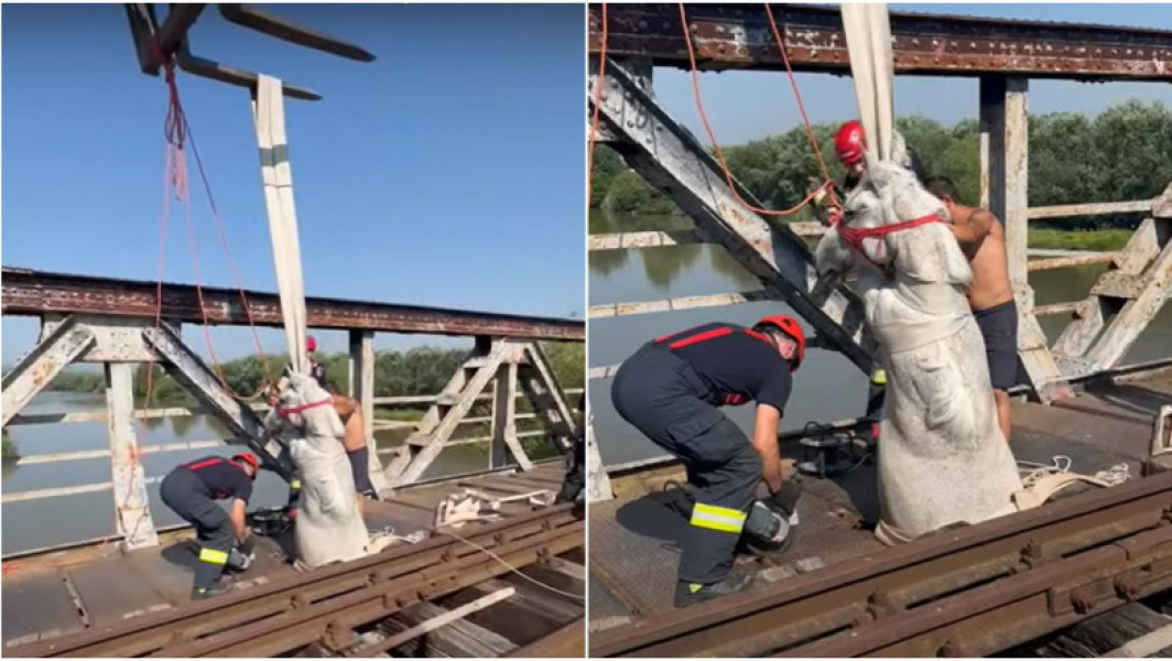 Pompierii din Alba au salvat un cal blocat pe un pod din Ocna Mureș