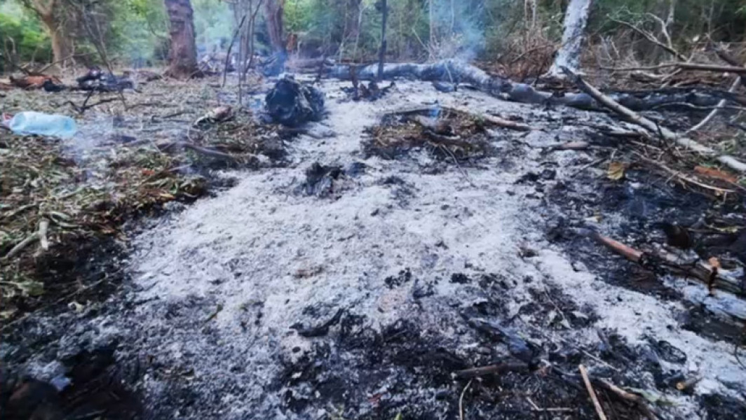 Ministerul Apărării confirmă resturile unei drone rusești lângă Plauru