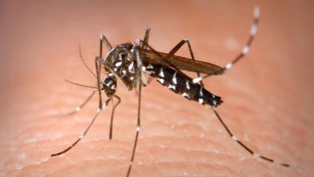 Avertisment de la Institutul Național de Sănătate Publică privind virusul West Nile