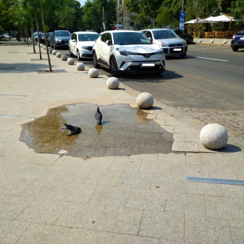 Primăria Galați achiziționează 200 de bolarzi din beton pentru oraș