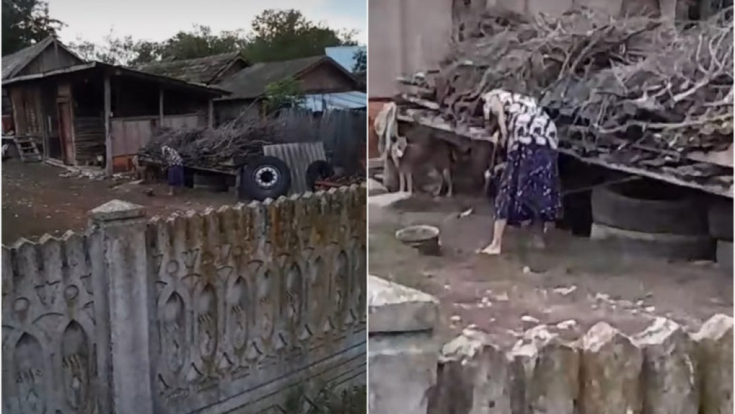 Anchete în Dolj după agresiunea unui câine