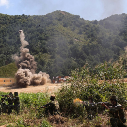 Probleme de coordonare între armata nord-coreeană și cea rusă în regiunea Kursk