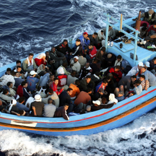 Italia a deschis un centru pentru migranți în Albania, dar acum acesta este folosit de câini