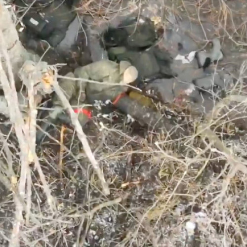 Soldatul nord-coreean capturat de forțele ucrainene a decedat din cauza rănilor