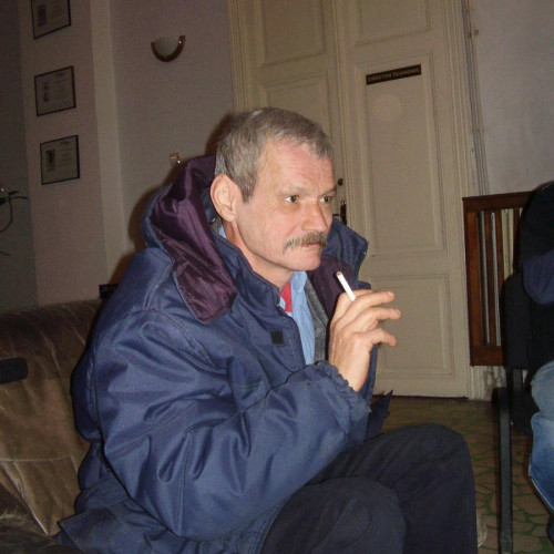 Poeziile lui Nichita Stănescu, explorări ale suferinței și frumuseții