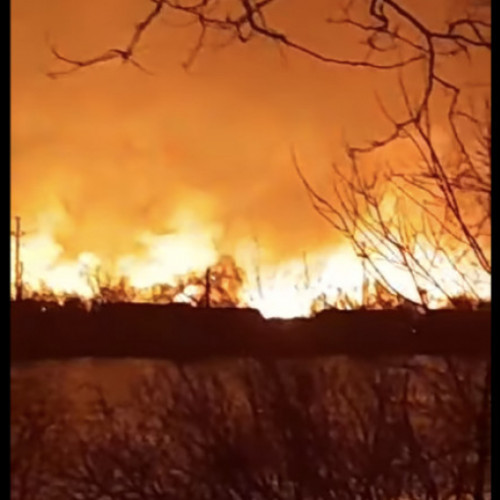Incendiu de vegetație de proporții în Delta Dunării