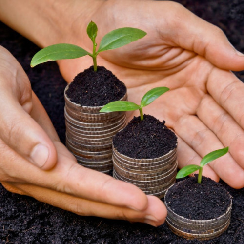 APIA autorizează plăți de 579,968 milioane de euro pentru fermieri