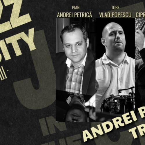 Concertele &quot;Jazz In The City&quot; aduc muzica lui Petrica Andrei Trio pe scena Teatrului National de Opera si Opereta