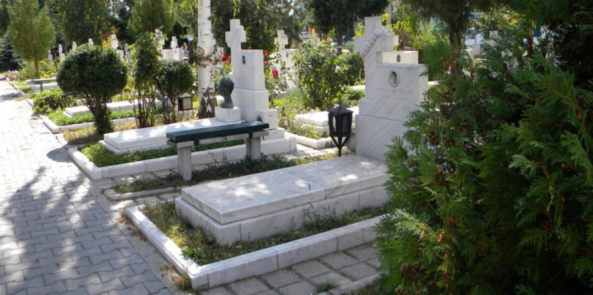 Image Description