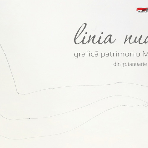 Expoziția "Linia nud", la Muzeul de Artă Vizuală - Liliana Tofan prezintă