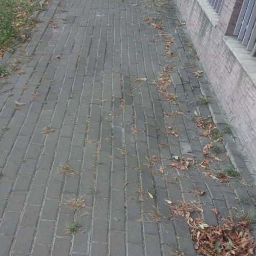valurile Trotuarului, un nou hit în Galați