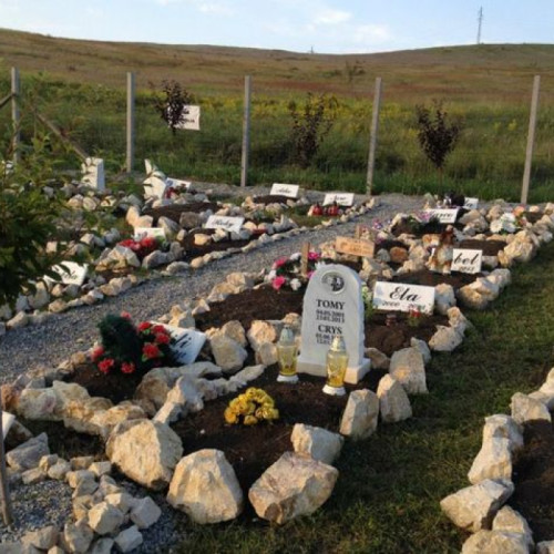 Cimitir pentru animale de companie, la marginea Galațiului pentru anul 2024