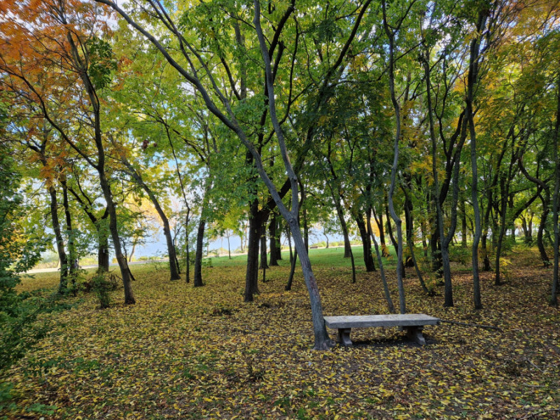Atmosferă de toamnă pe Faleza Dunării, în duminica plină de activități