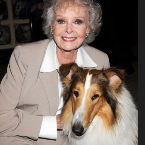 A decedat actrița June Lockhart, cunoscută pentru rolurile din „Lost in space” și „Lassie”