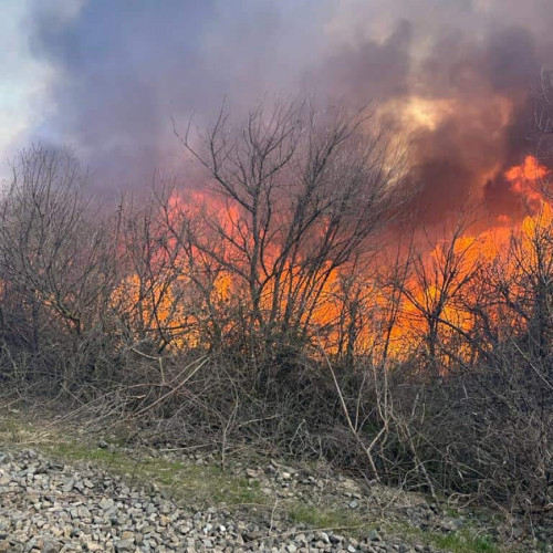 Zeci de hectare incendiate la Brateș din cauza unui incendiu violent (VIDEO)