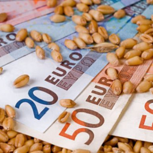 Exportul de cereale al României, în scădere cu 4,1%, în anul trecut