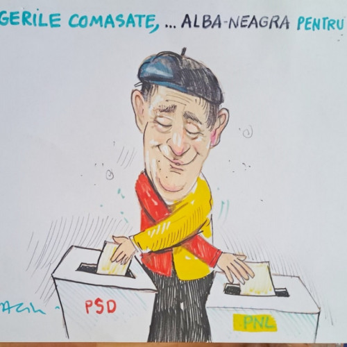 Fraierii câștigă alegerile combinate, dar problemele persistă în sistemul politic din România