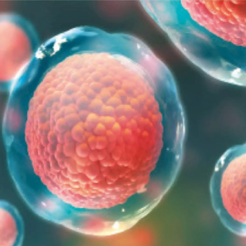 Cel mai mare număr de donatori de celule stem hematopoietice în România, conform Registrului Național